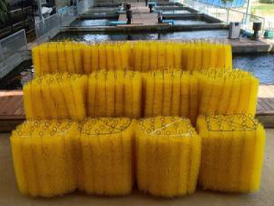 ขายส่งแปรงล้างบ่อปลา